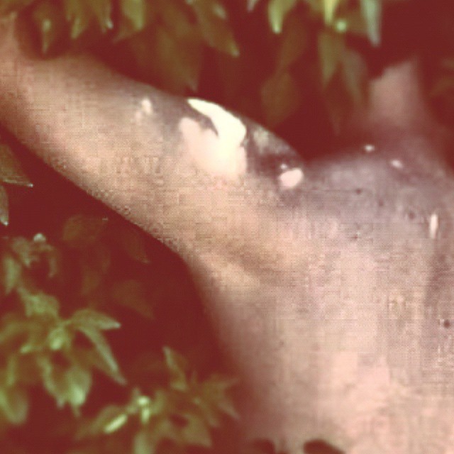 11393040_975777049120639_2957118173868011196_n